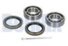 BMW 1118431 Wheel Bearing Kit